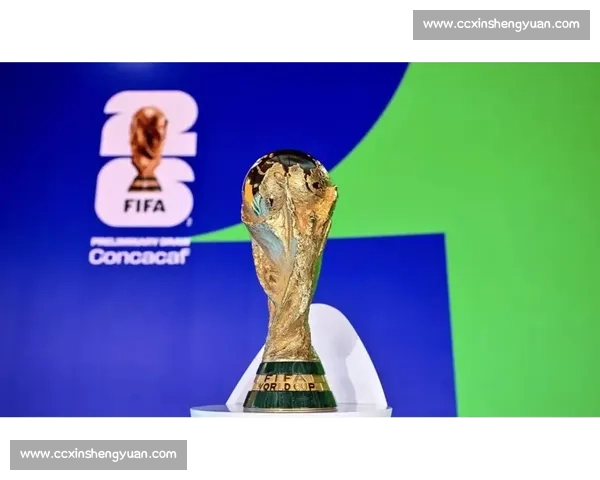 冷静旁观！2026世界杯积分榜，数据不会说谎